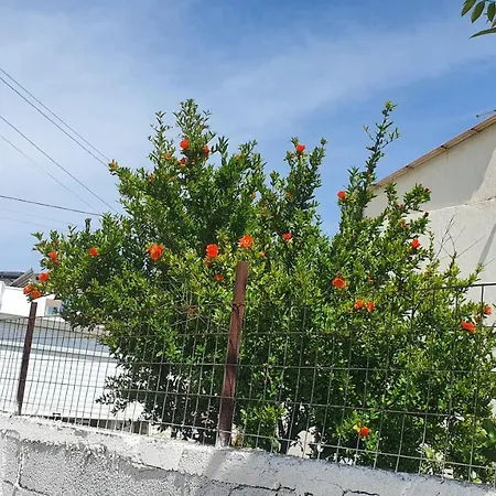 Appartement Mihal
